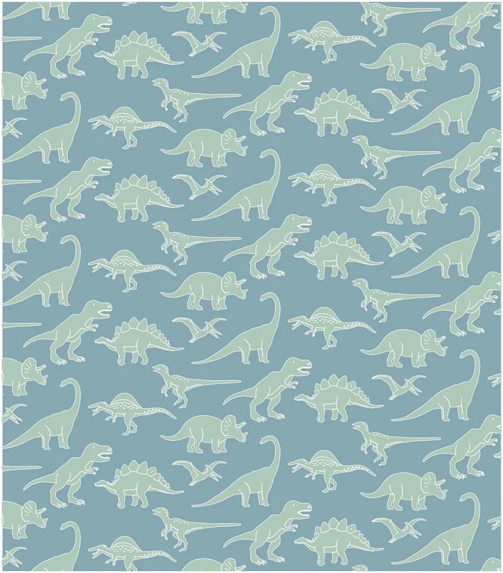 Dinosaur Dig Parker Zipper Pj – Shutterbugs Boutique
